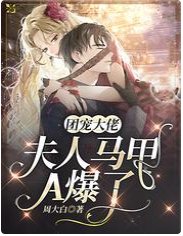 团宠大佬,夫人马甲A爆了