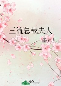 三流總裁夫人