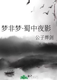 夢非夢·蜀中夜影