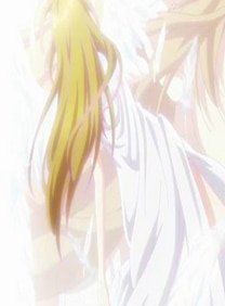 （網王+月刊同人）[網王+月刊]女神和女漢子